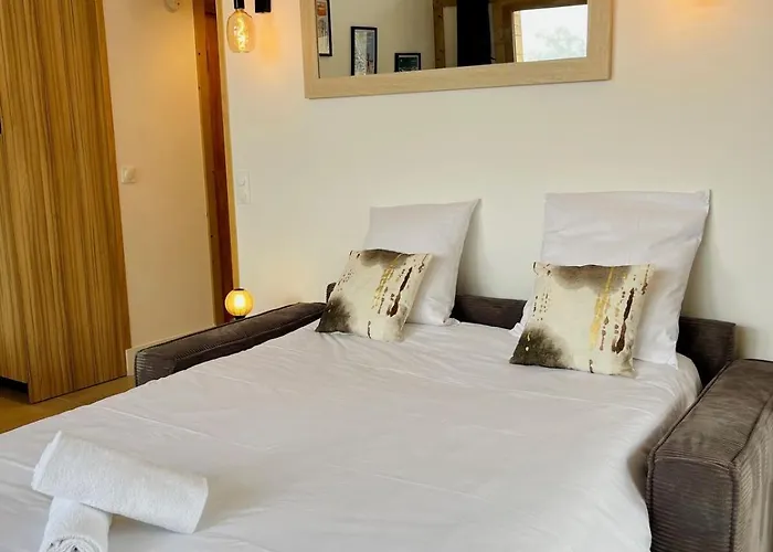 Les Vernettes, 6 People, Garage, Wi-fi Les Deux Alpes